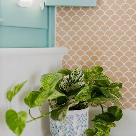 La Casa Degli Archi *